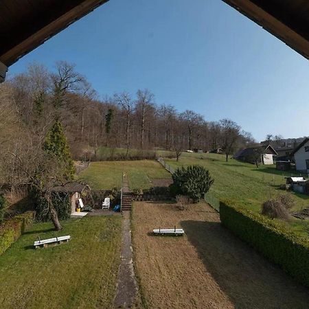Ferienwohnung Am Waldrand Bad Driburg Luaran gambar